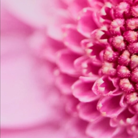 Meet your Posher, Tracey - Picture 2 of 2